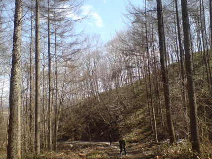 29544447_82116048.jpg