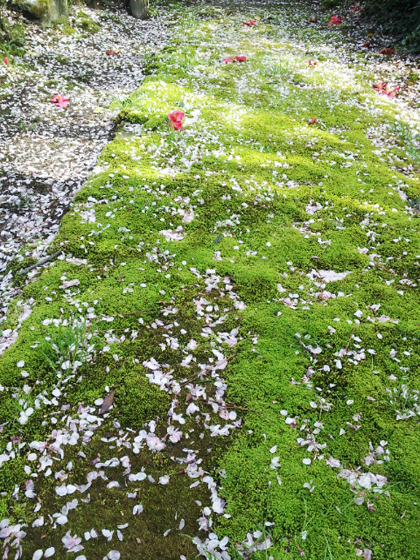 2013-04-08 14.37.29.jpg