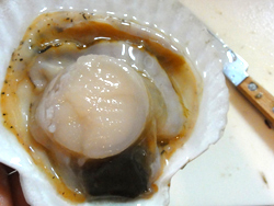2DSC01516.jpg
