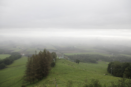 _MG_4136.jpg