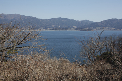 _MG_4254.jpg