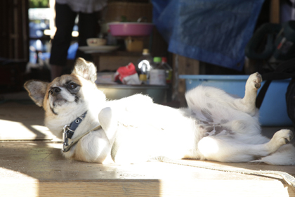_MG_5243.jpg