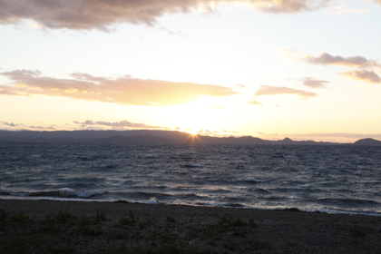 _MG_8384.jpg