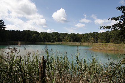 _MG_8480.jpg