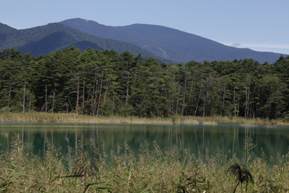 _MG_8485.jpg