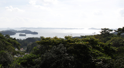 _MG_9370.jpg
