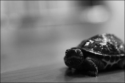 bw_MG_0445.jpg