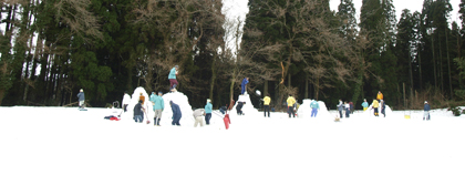 down_2147201.jpg