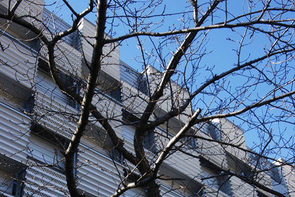 up_1135868.jpg