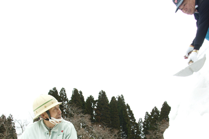 up_2147218.jpg