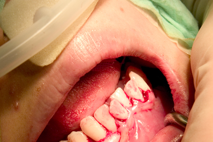 up_6056542.jpg
