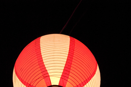 up_8223564.jpg